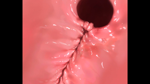 unknown_2023.01.30-13.46_1.png