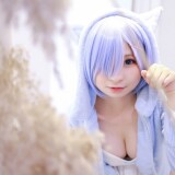 1291ed5c36cd8d6525