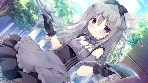 unknown_2023.11.28-20.08_2.png