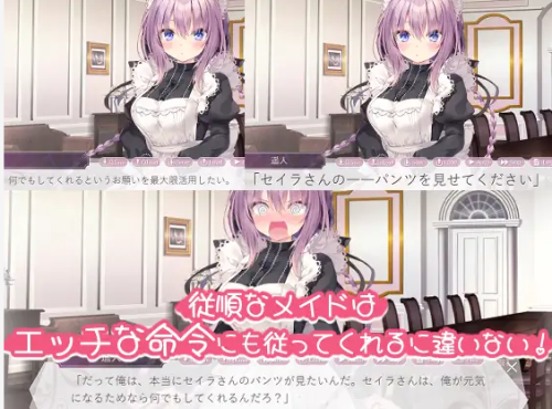unknown_2023.12.21-11.09_2.png