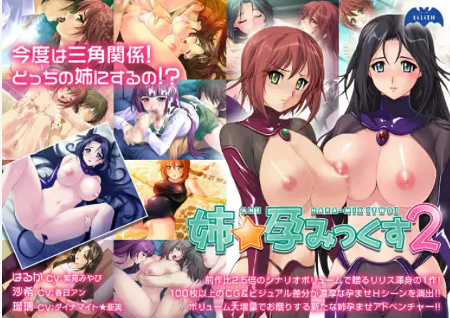【拔作ADV/AI汉化/中出/怀孕/巨乳/姐姐】[RJ021154/Lilith [リリス]社团]姐姐怀孕2/姉☆孕みっくす2[+全CG存档]【PC/320M】